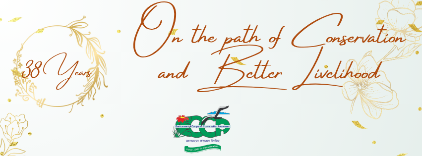 image for Banner - 38 years
